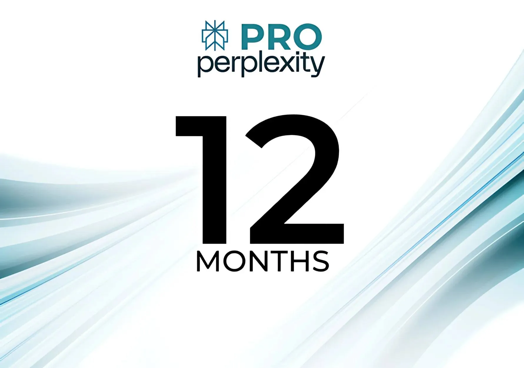 Perplexity Pro 1 Year